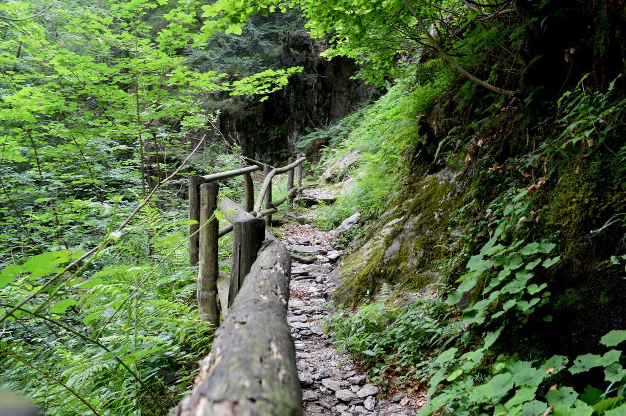 Secret Mountain Retreat Valle Cannobina Orasso ภายนอก รูปภาพ