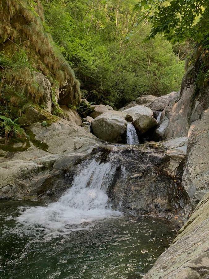 Secret Mountain Retreat Valle Cannobina Orasso ภายนอก รูปภาพ